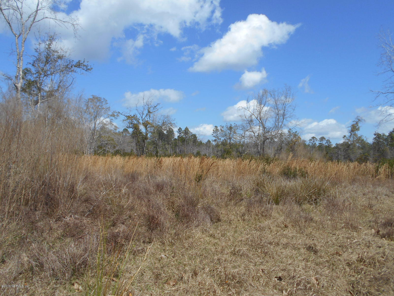 75179 Randy Road Yulee, FL 32097 - Photo 40 of 56 a view of a lake