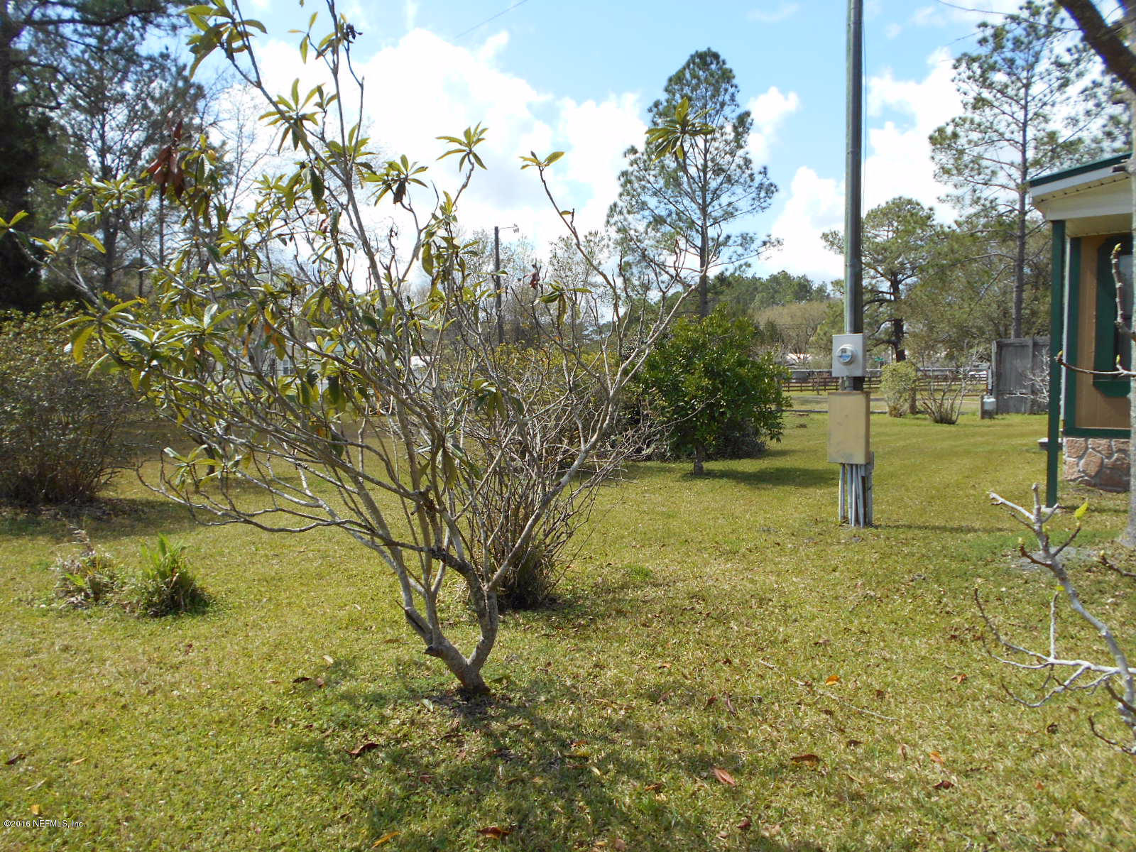 75179 Randy Road Yulee, FL 32097 - Photo 44 of 56 a view of a garden with a tree