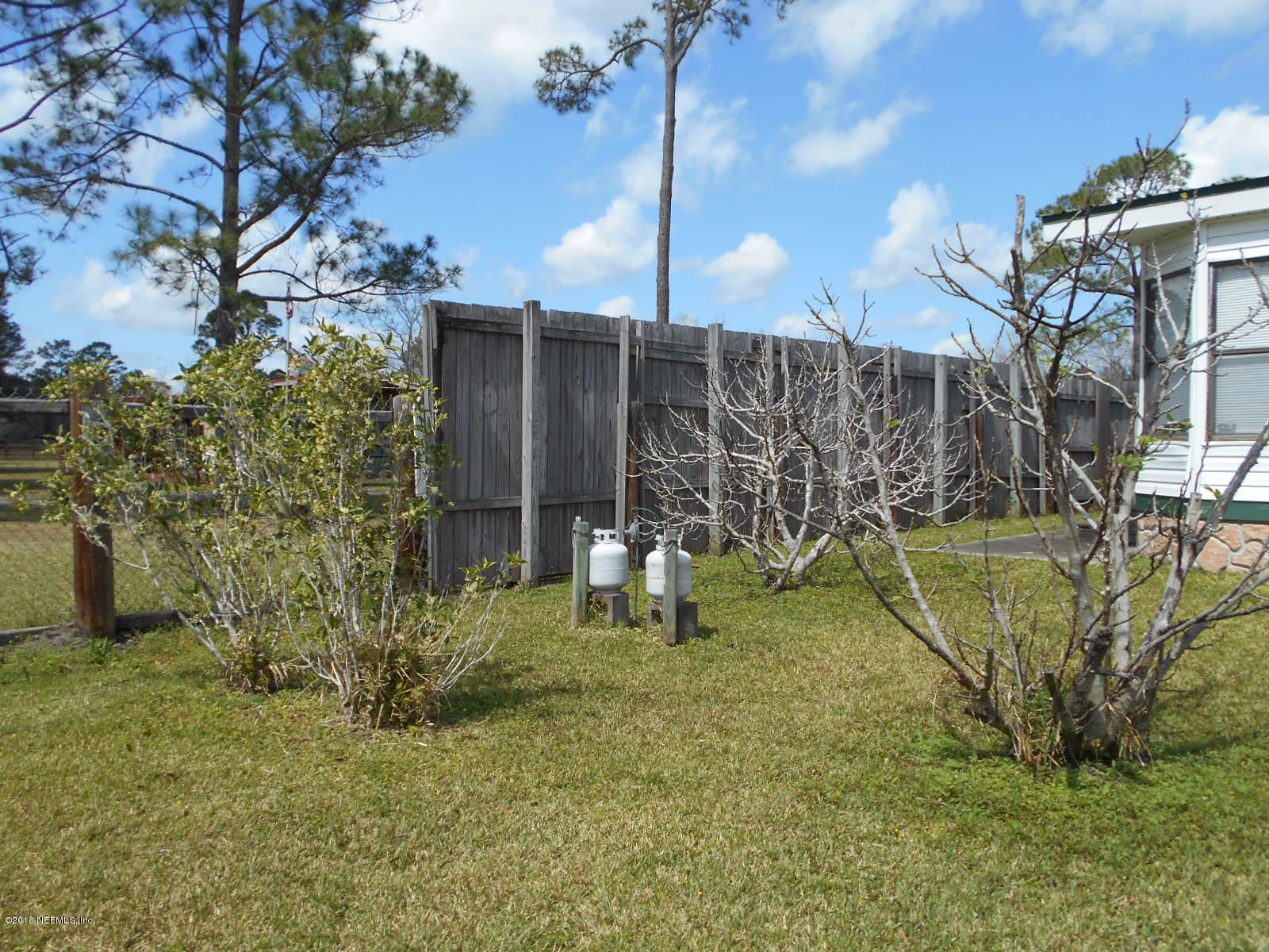 75179 Randy Road Yulee, FL 32097 - Photo 49 of 56 a view of a yard with a tree