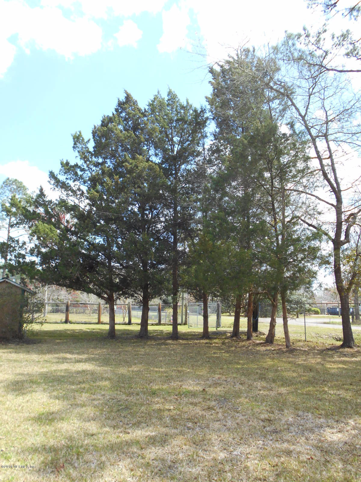 75179 Randy Road Yulee, FL 32097 - Photo 54 of 56 a view of a yard with a trees