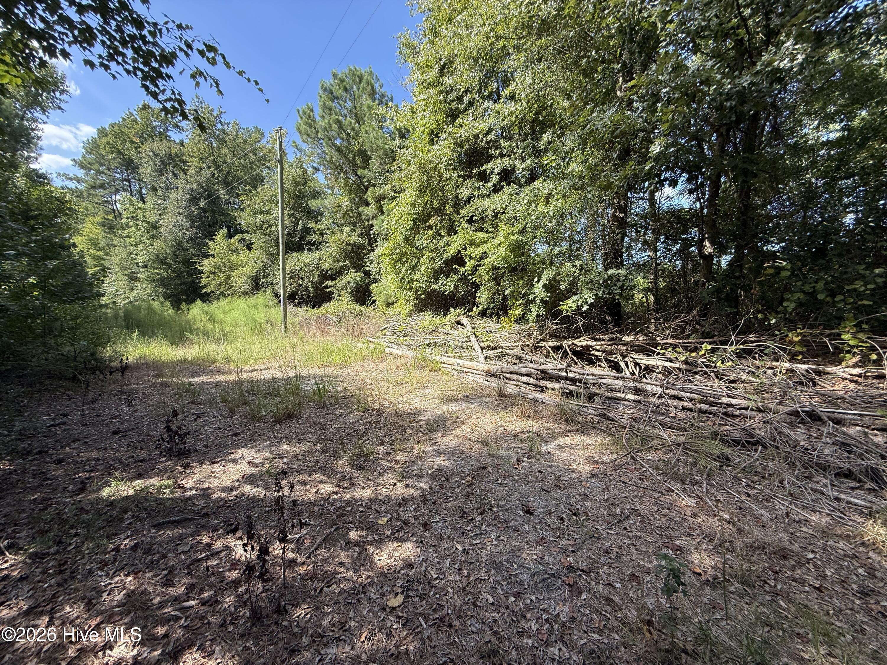 Tbd Tbd Point Atkinson, NC 28421 - Photo 16 of 16 Gallery Image 16