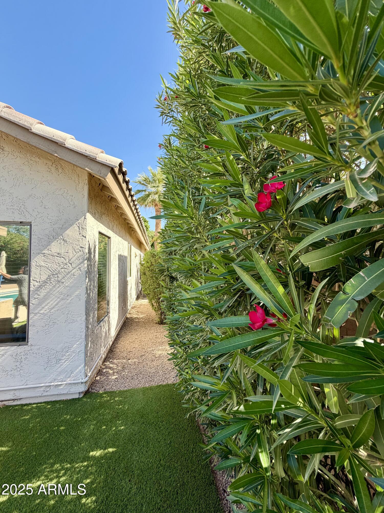 3068 North 83rd Place Scottsdale, AZ 85251 - Photo 43 of 46 a view of a house with a backyard