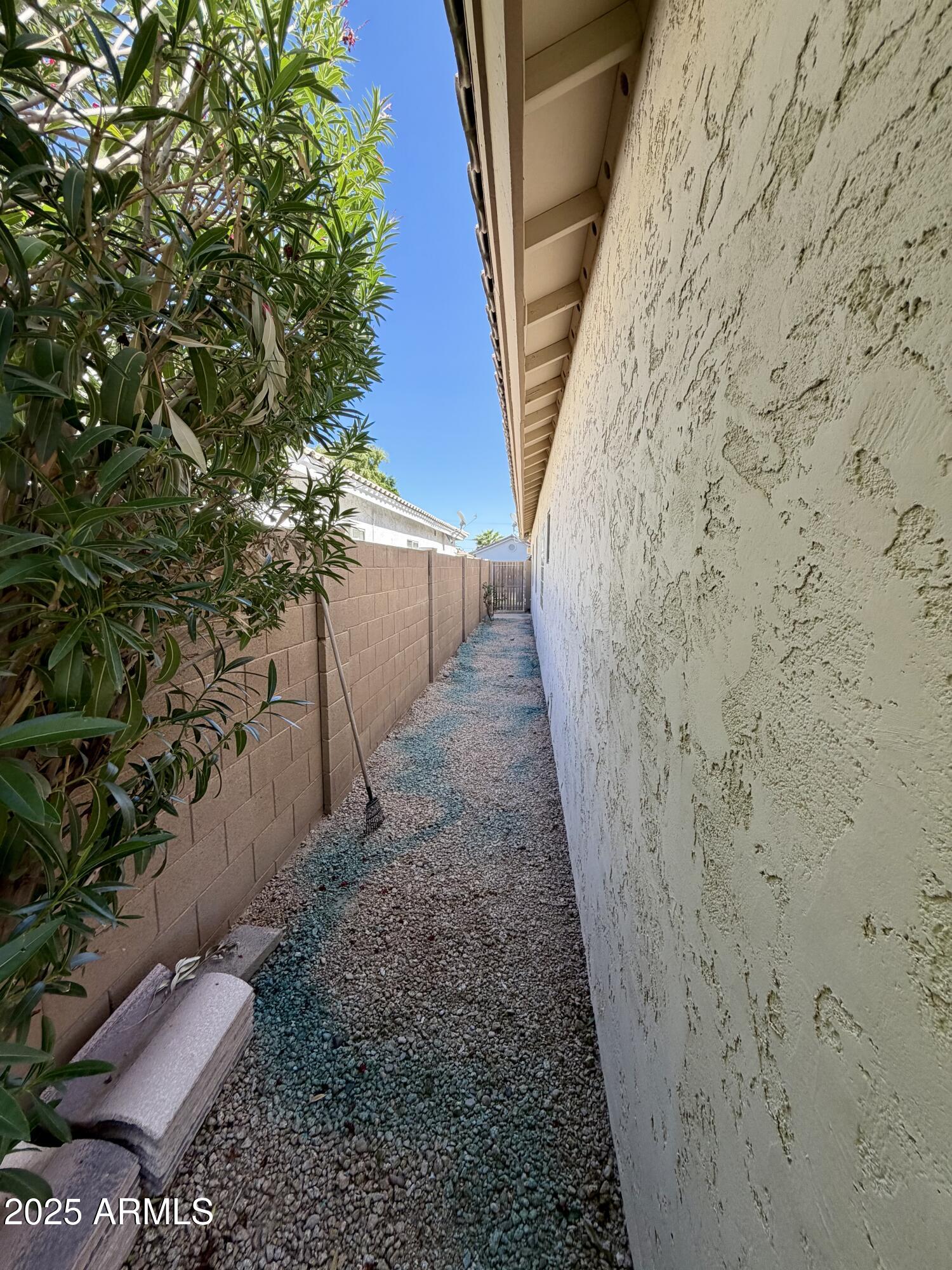 3068 North 83rd Place Scottsdale, AZ 85251 - Photo 45 of 46 a view of a pathway with a tree