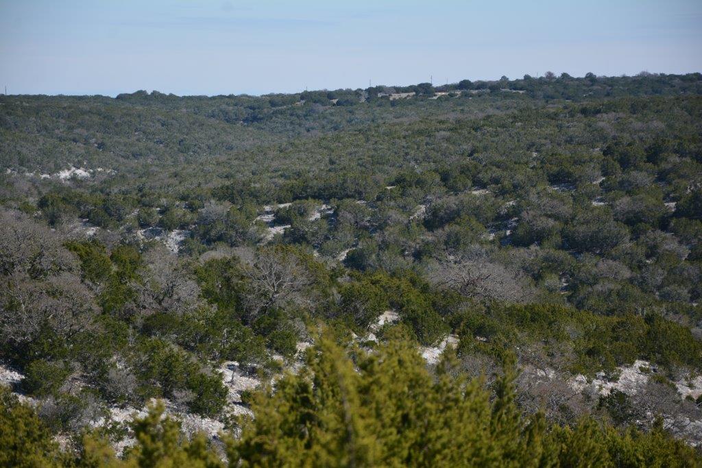 7184 Fair Ranch Road Rocksprings, TX 78880 - Photo 1 of 1 a view of a field