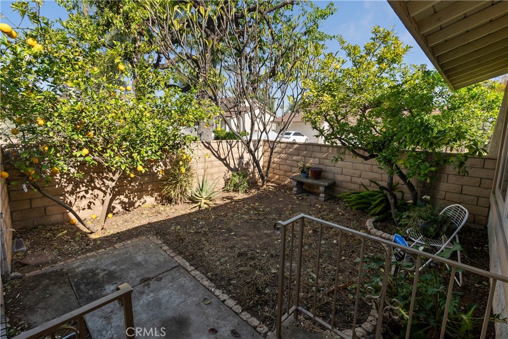 6624 Banyan Place Riverside, CA 92506 - Photo 5 of 41 a view of a tree with wooden fence