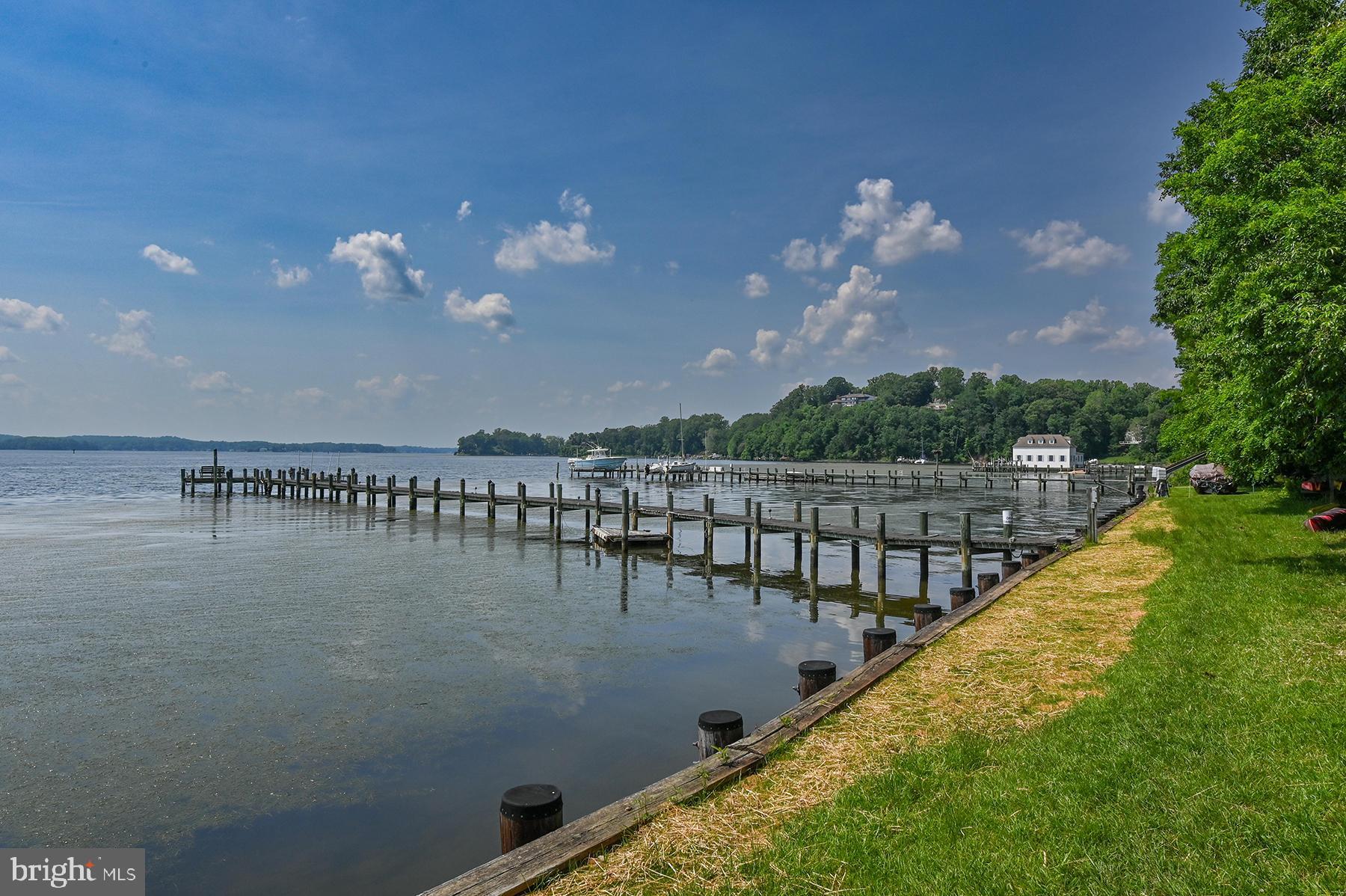 296 West Joyce Lane Arnold, MD 21012 - Photo 5 of 32 Level yard at the water's edge