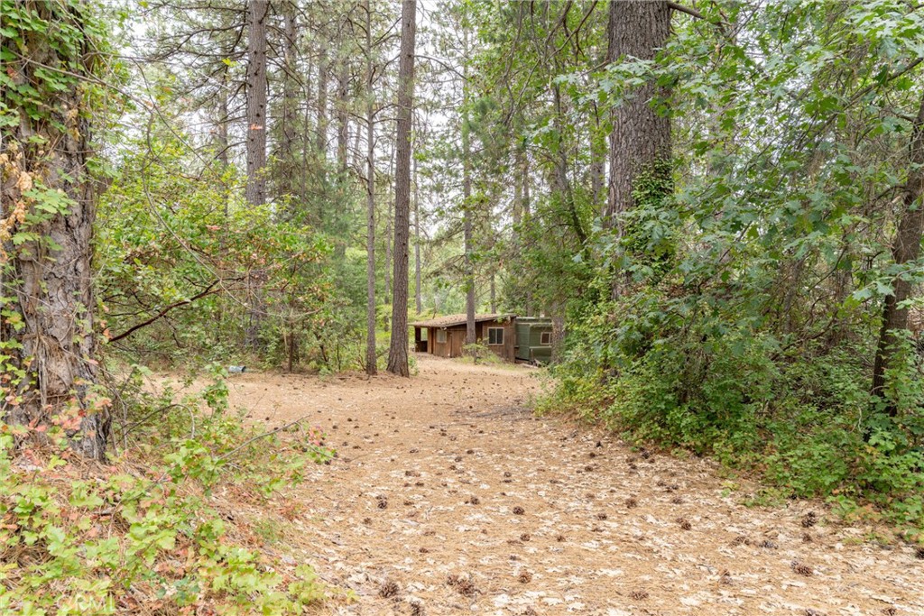 15184 Siwini Road Forest Ranch, CA 95942 - Photo 39 of 75