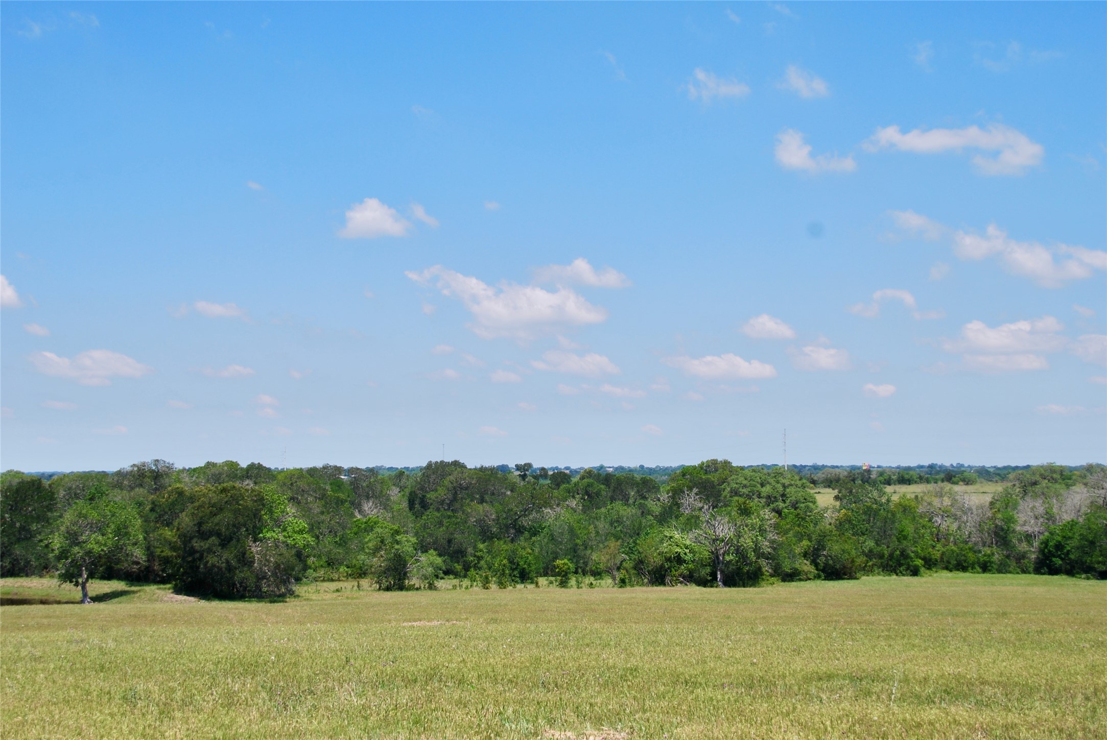 3703 Muehr Road Weimar, TX 78962 - Photo 5 of 29