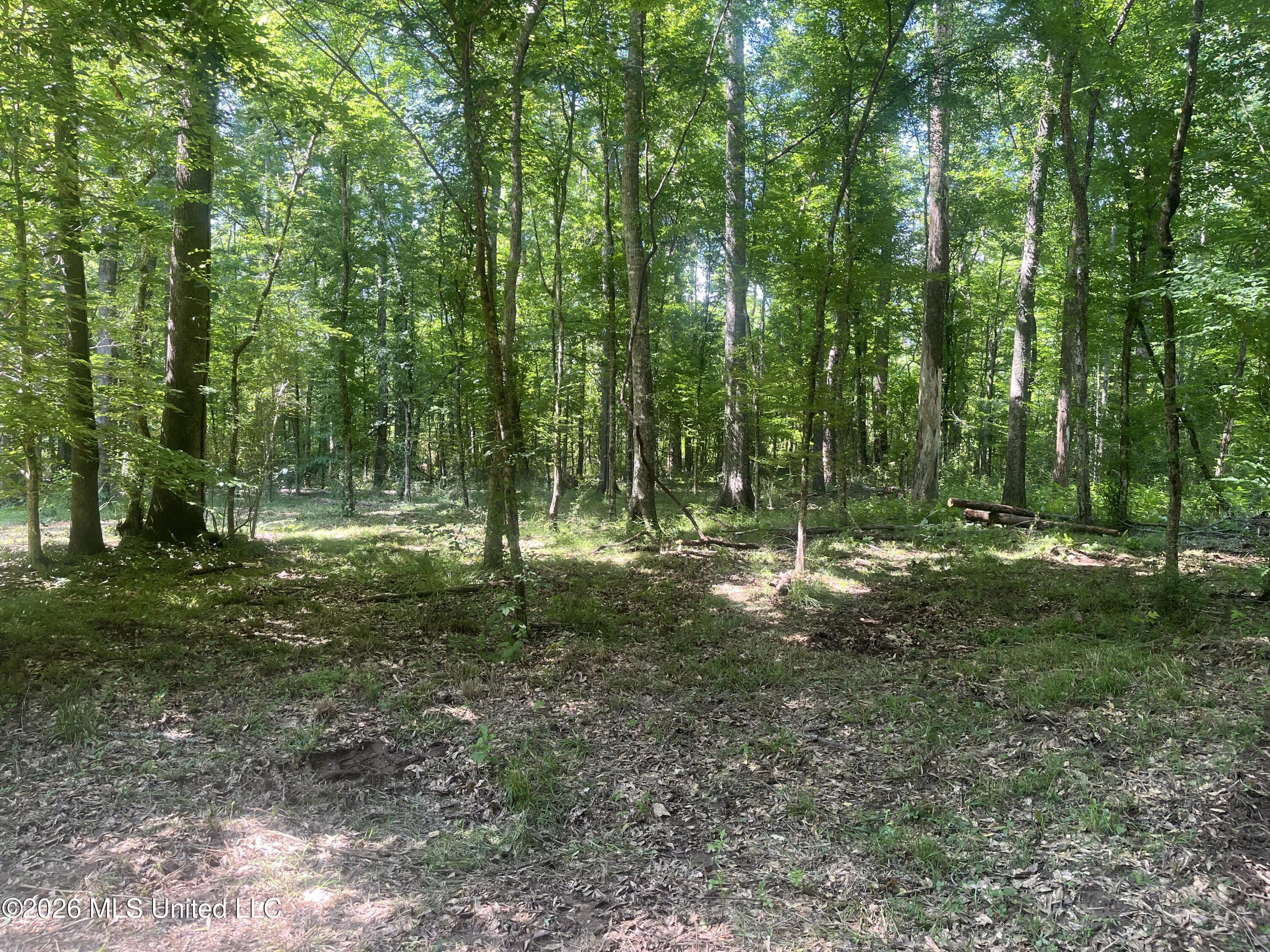 5734 Hebron Road Liberty, MS 39645 - Photo 23 of 32 24.