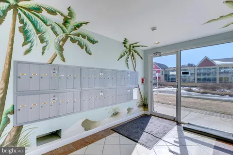 a potted plant sitting in front of a window