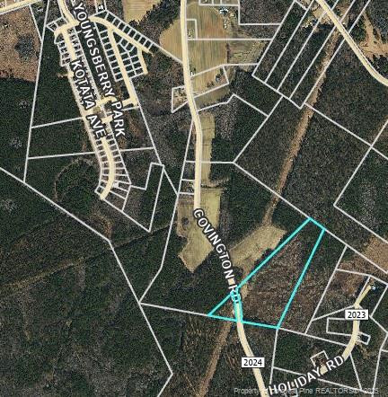 0 Covington Road Erwin, NC 28339 - Photo 4 of 10