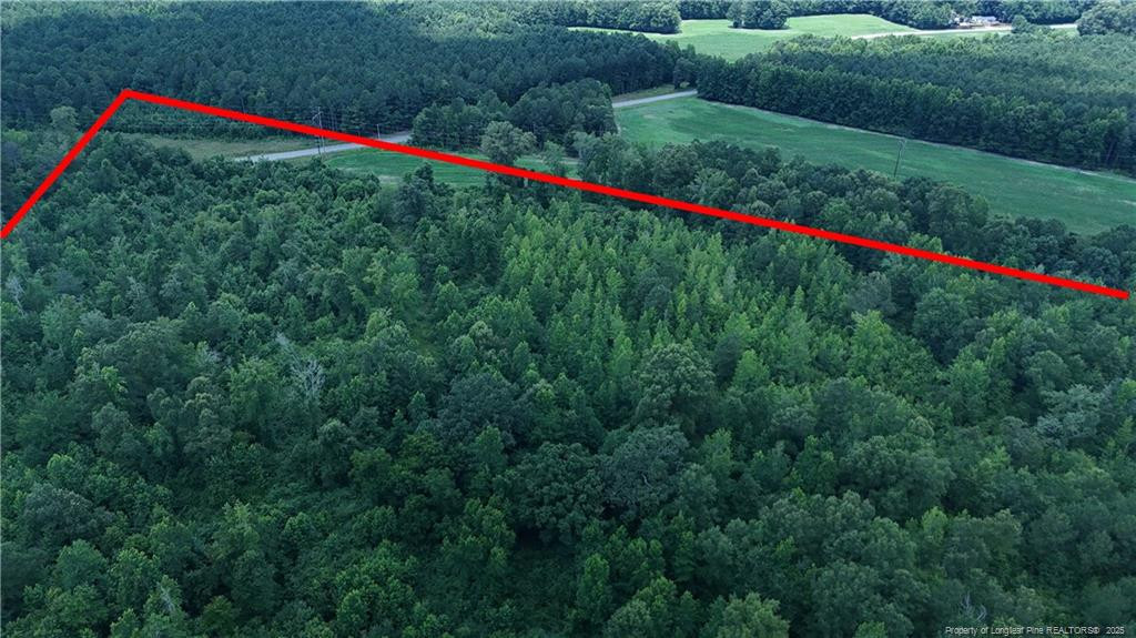 0 Covington Road Erwin, NC 28339 - Photo 5 of 10 a view of an outdoor space and a yard