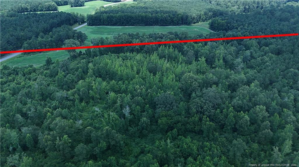 0 Covington Road Erwin, NC 28339 - Photo 6 of 10 a view of a flower garden in front of a house