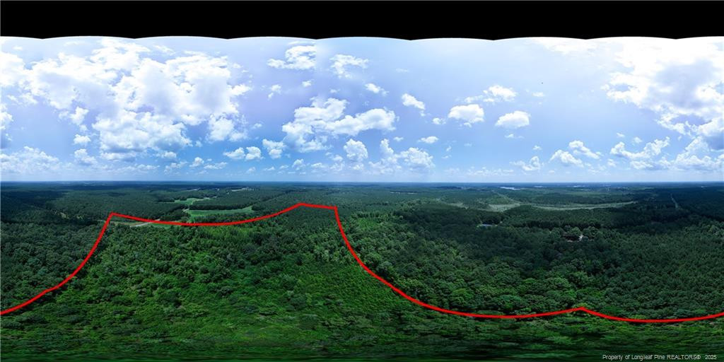 0 Covington Road Erwin, NC 28339 - Photo 7 of 10 a view of a garden in a backyard