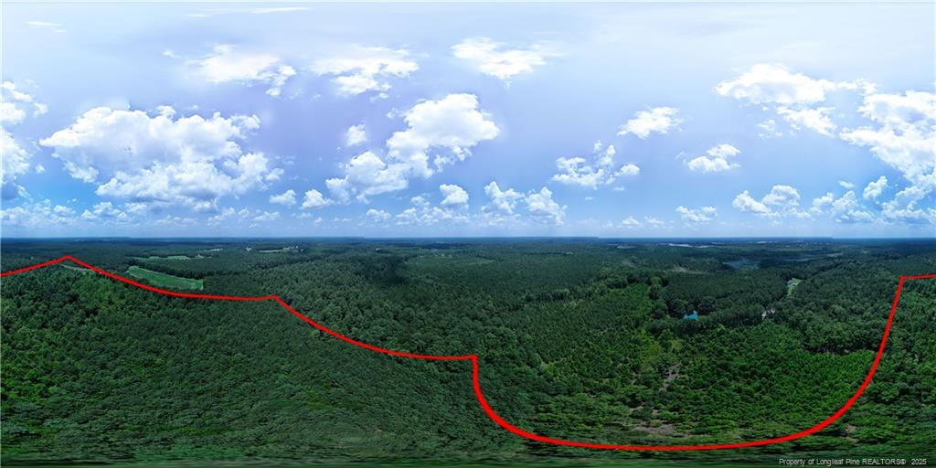 0 Covington Road Erwin, NC 28339 - Photo 8 of 10 a view of a golf course with a garden