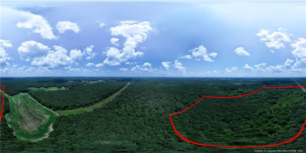 0 Covington Road Erwin, NC 28339 - Photo 10 of 10 a view of a golf course with a garden