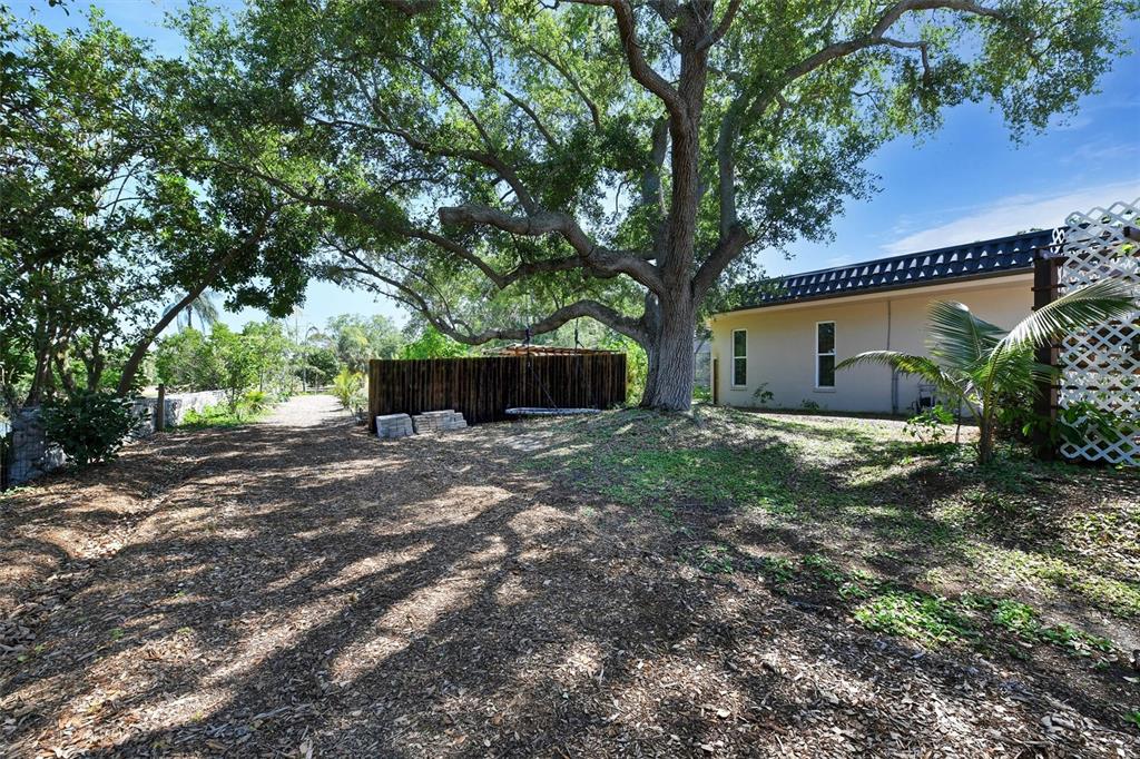 1875 Belleair Road Clearwater, FL 33764 - Photo 73 of 100 a front view of a house with a yard and a large tree