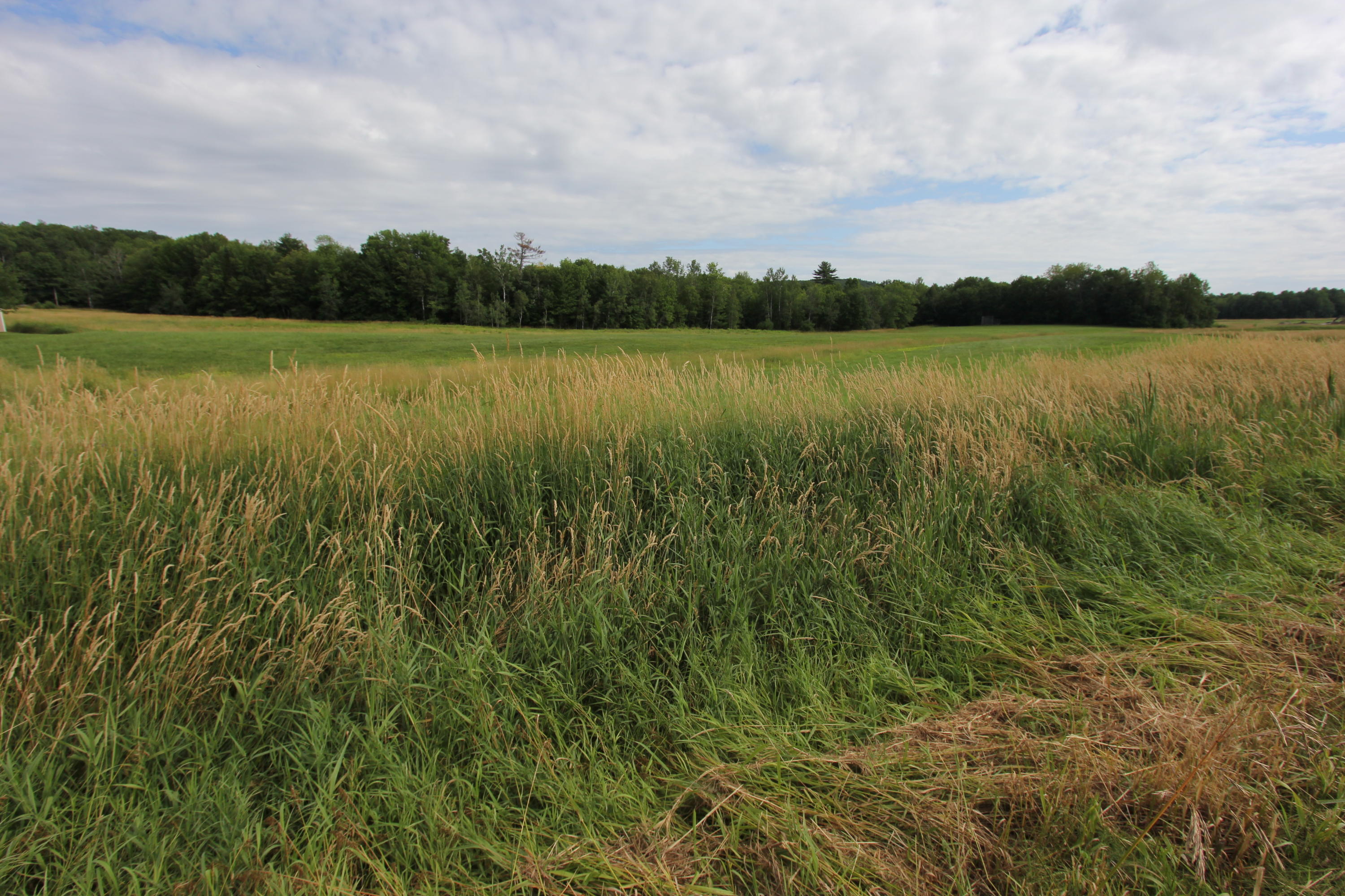 59 South River Road Greene, ME 04236 - Photo 1 of 1 IMG_9234