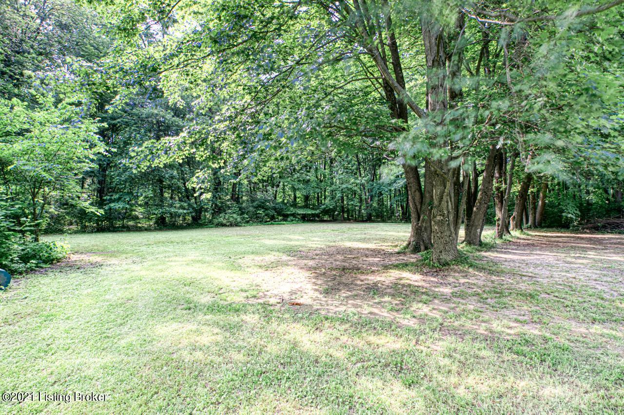 3305 County Line Road Louisville, KY 40229 - Photo 13 of 17 Massive Yard