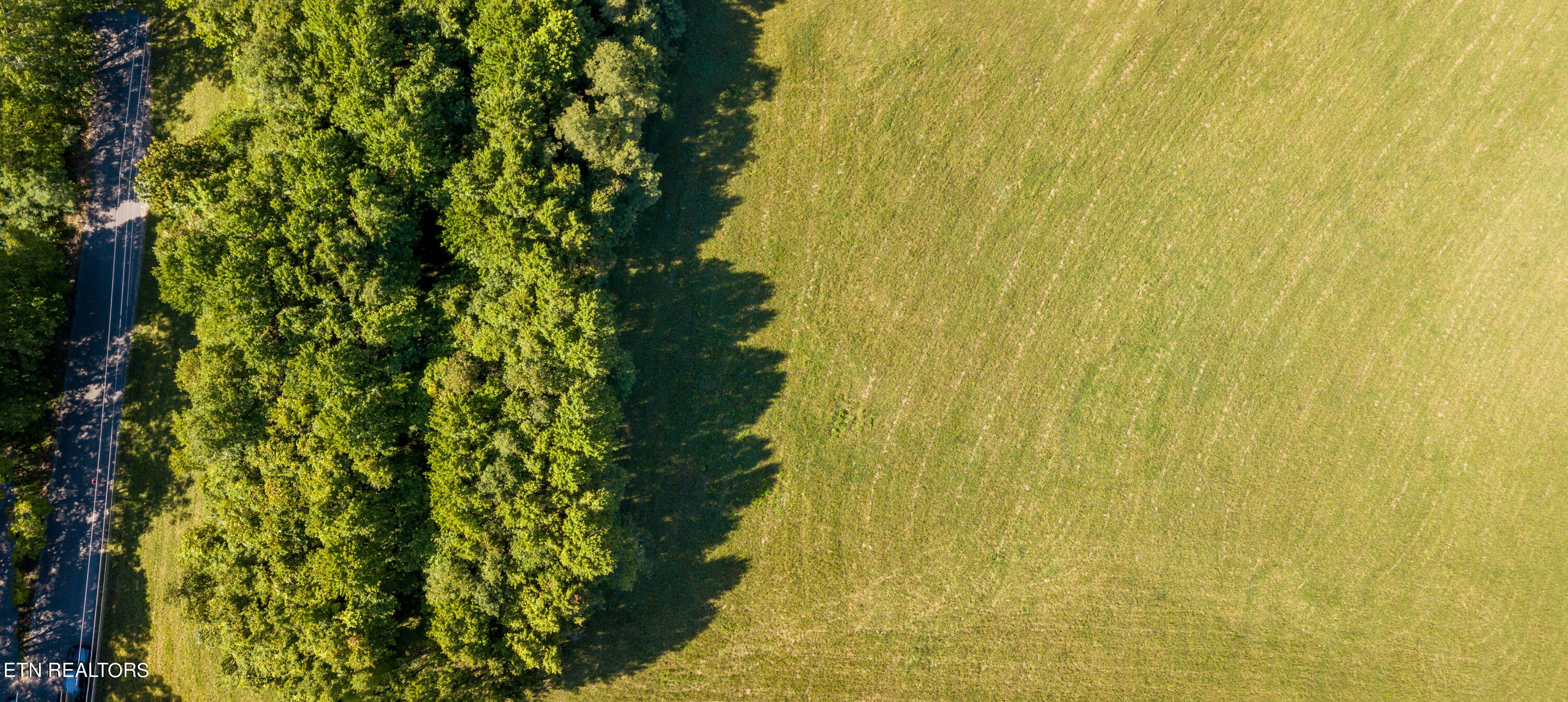 115 Overton Road Maynardville, TN 37807 - Photo 4 of 5 DJI_0232-Pano