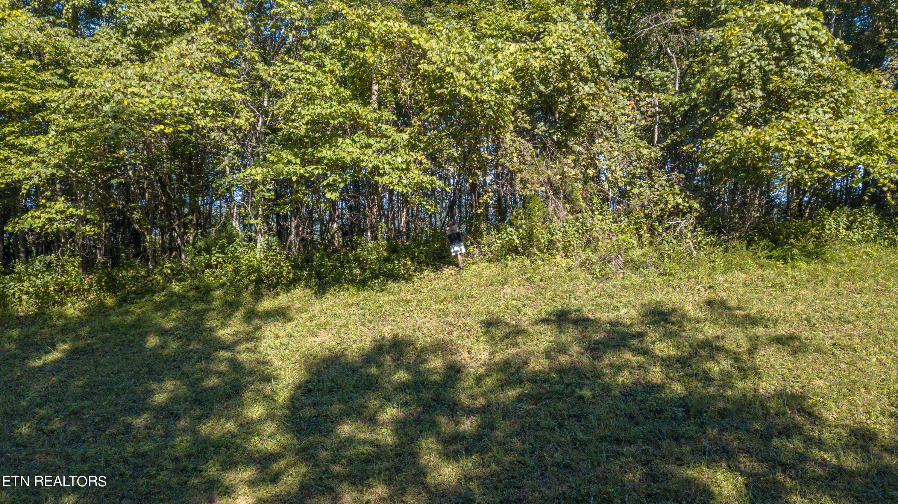 115 Overton Road Maynardville, TN 37807 - Photo 5 of 5 DJI_0219