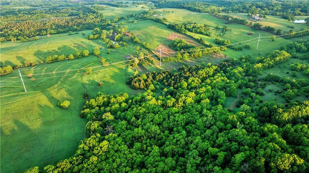 Murray Rd Road Polo, MO 64671 - Photo 4 of 53