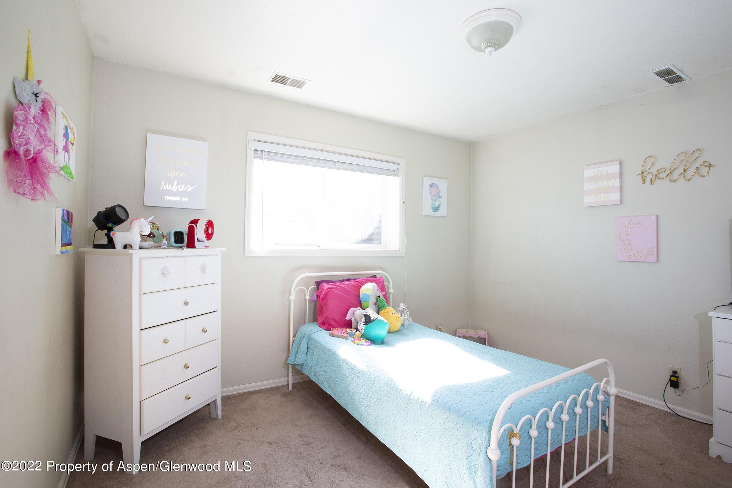 305 Arlian Road Carbondale, CO 81623 - Photo 19 of 25 P76A1297 copy
