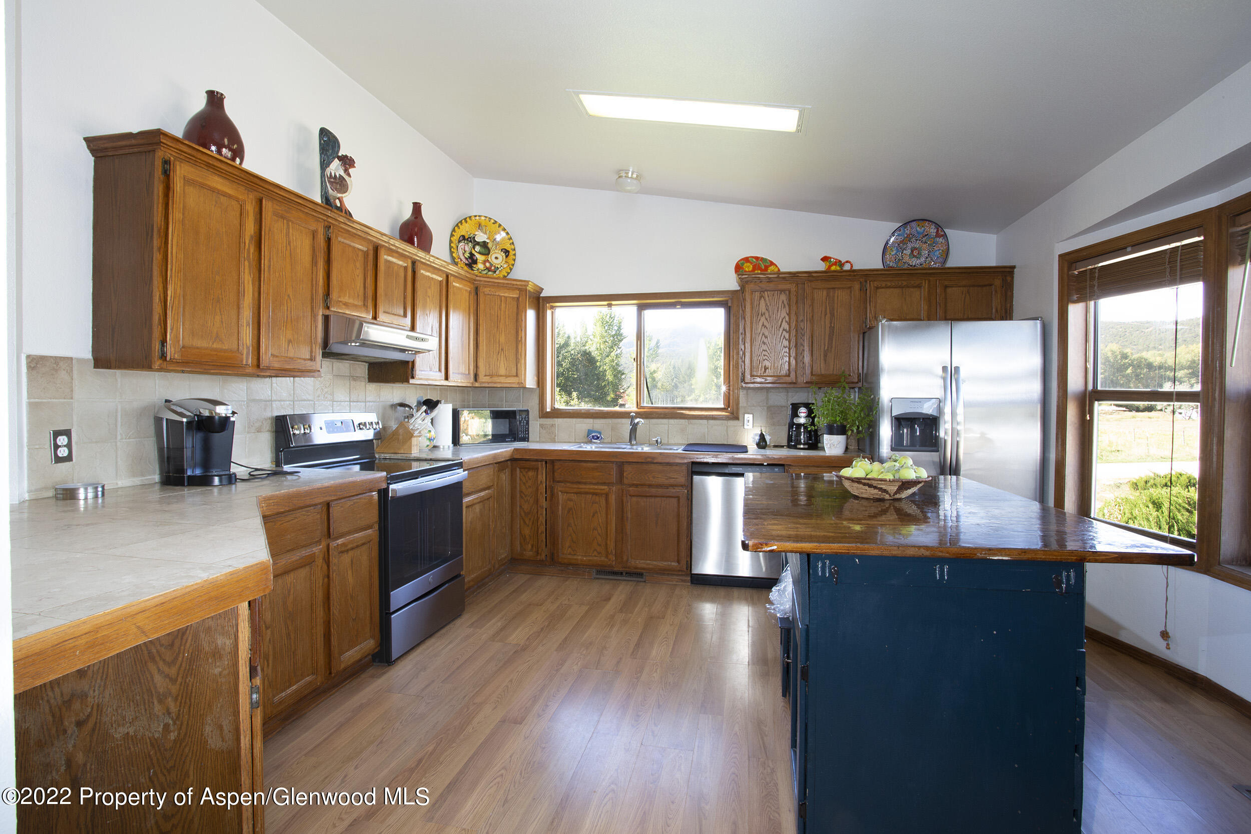 305 Arlian Road Carbondale, CO 81623 - Photo 8 of 25 P76A1258 copy