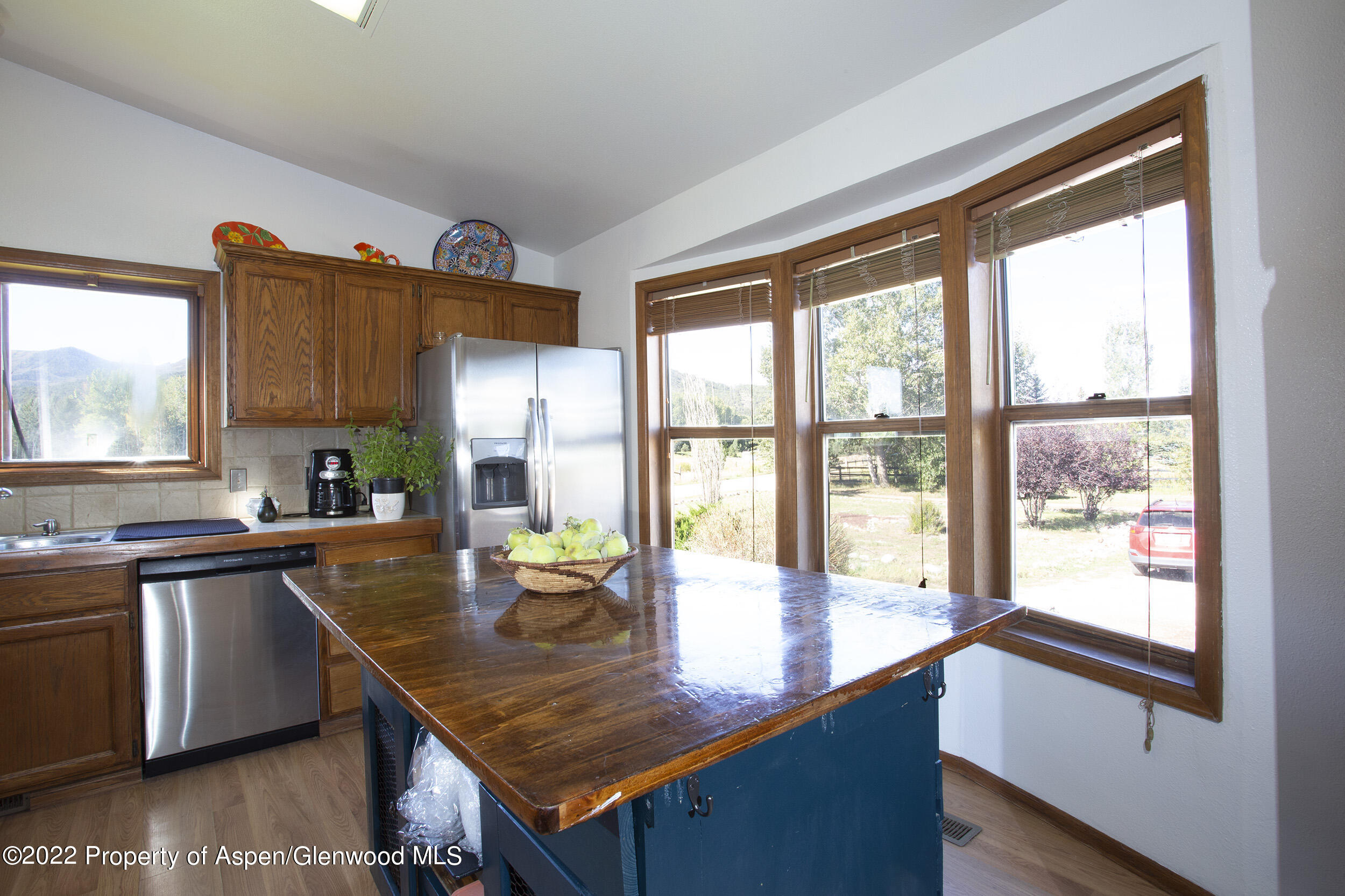 305 Arlian Road Carbondale, CO 81623 - Photo 9 of 25 P76A1265 copy