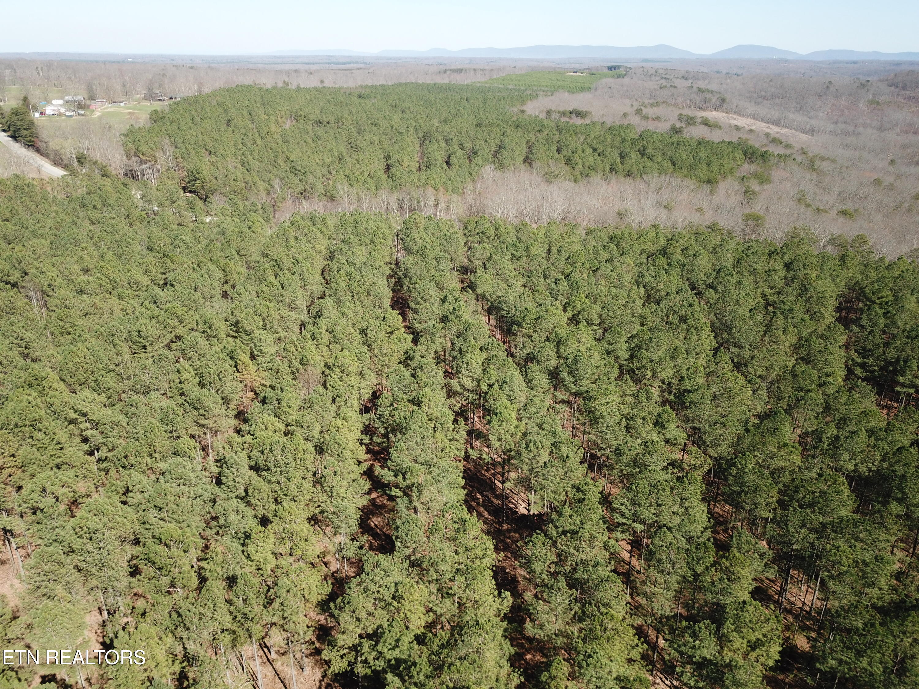 Buckridge Road Crossville, TN 38572 - Photo 10 of 26 DJI_0068