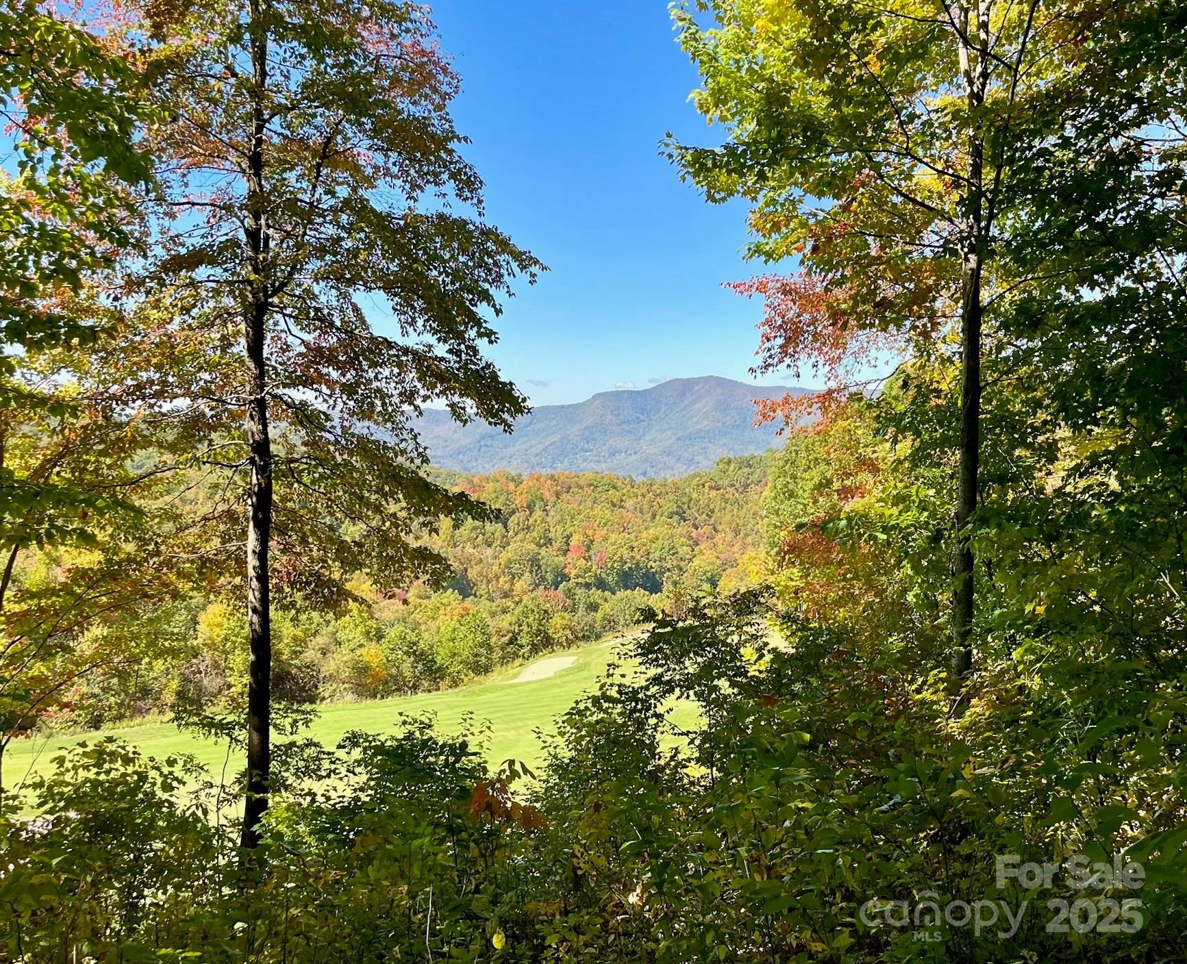 1781 High Line Road, Unit 63 Sylva, NC 28779 - Photo 1 of 22 a view of a yard with a tree