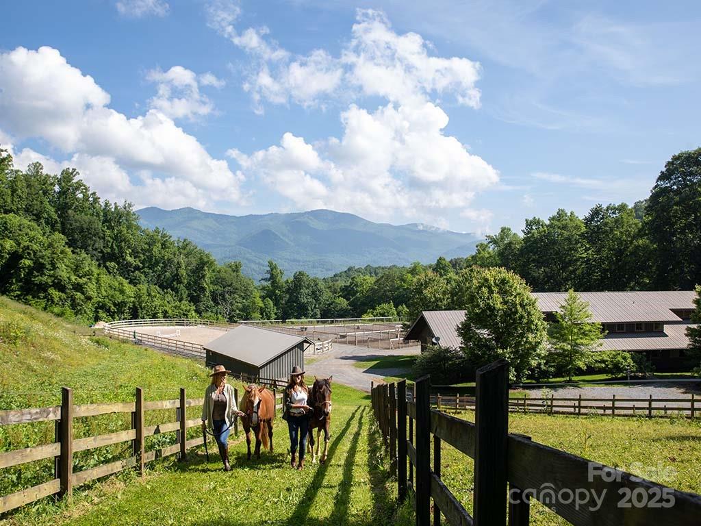 1781 High Line Road, Unit 63 Sylva, NC 28779 - Photo 15 of 22 a view of a terrace with a garden