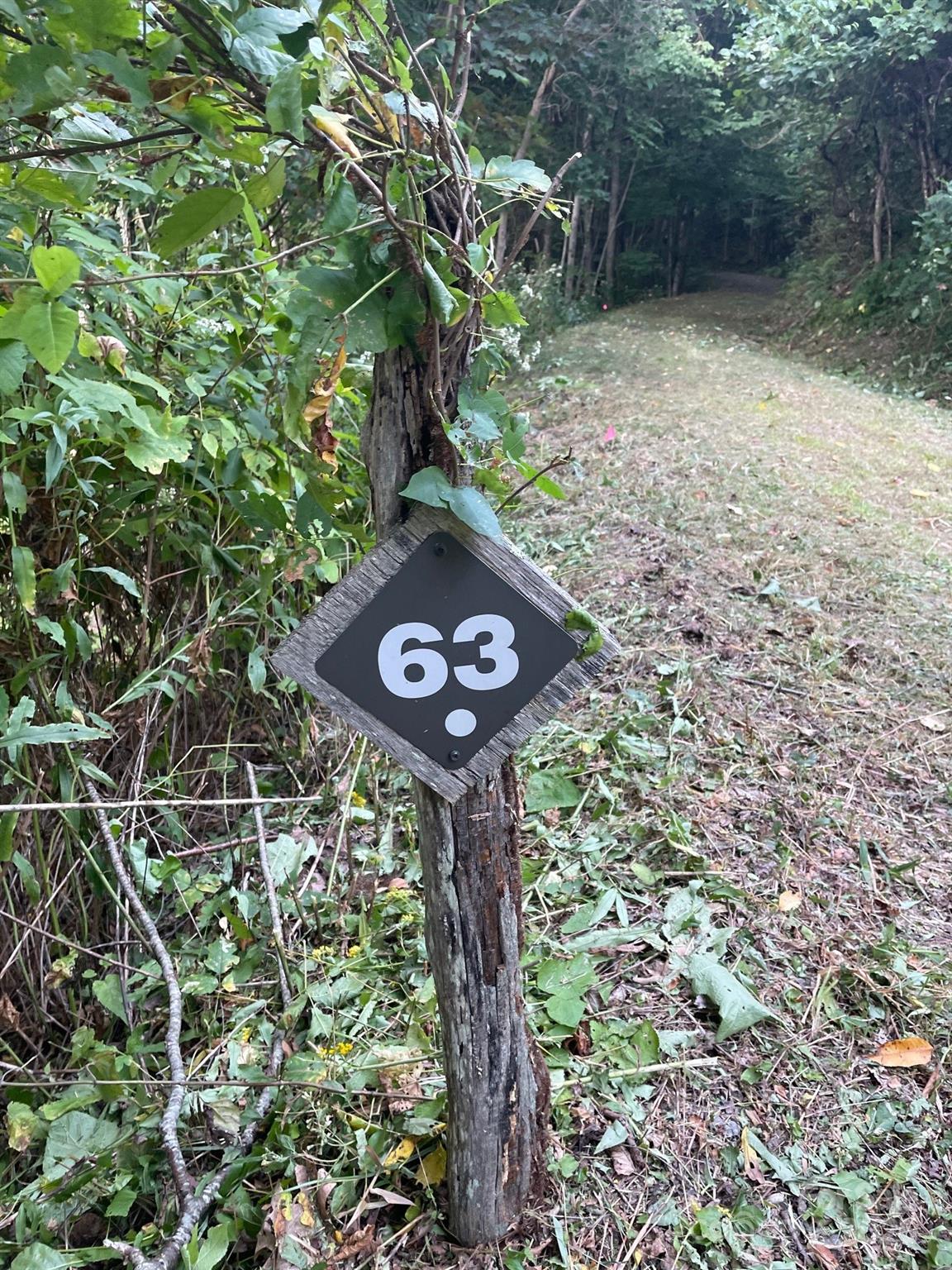1781 High Line Road, Unit 63 Sylva, NC 28779 - Photo 2 of 22 a view of a tree in a yard