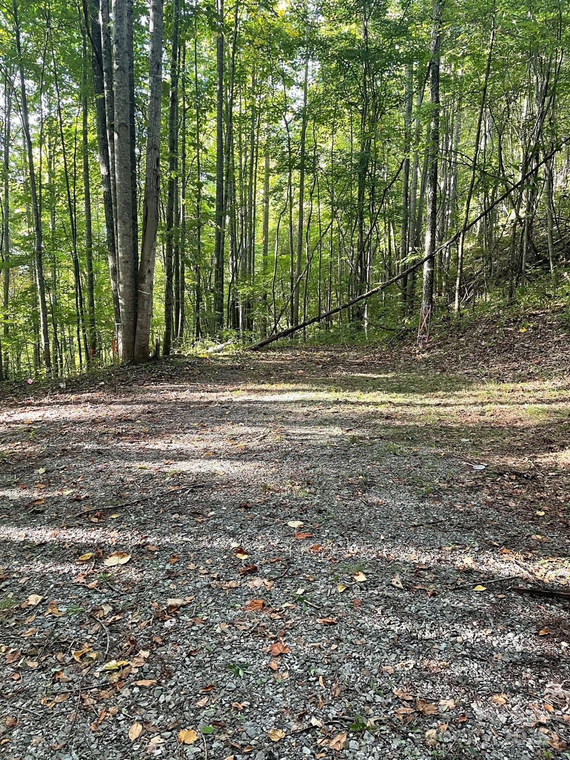 1781 High Line Road, Unit 63 Sylva, NC 28779 - Photo 6 of 22 a view of outdoor space with trees