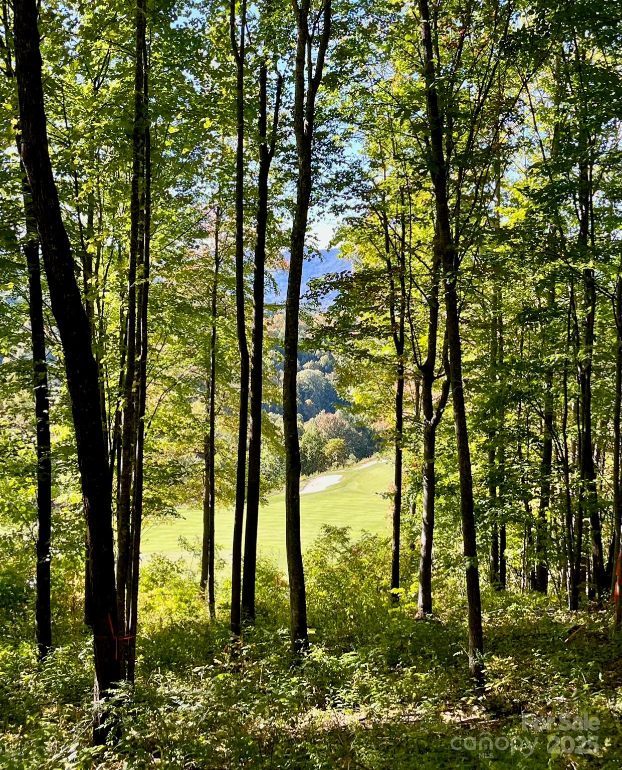 1781 High Line Road, Unit 63 Sylva, NC 28779 - Photo 7 of 22 a view of lake
