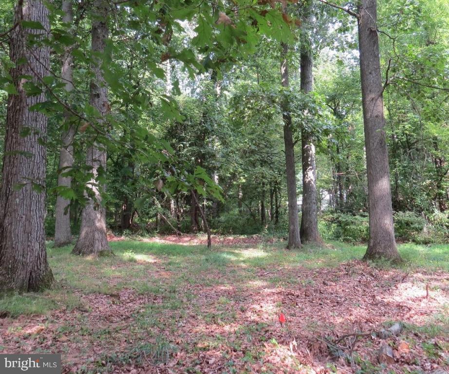 940 Doe Run Road Coatesville, PA 19320 - Photo 1 of 17 Gallery Image 1