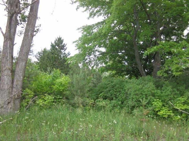 117 County Line Road Northeast Mancelona, MI 49659 - Photo 26 of 27 1787192-25.JPG