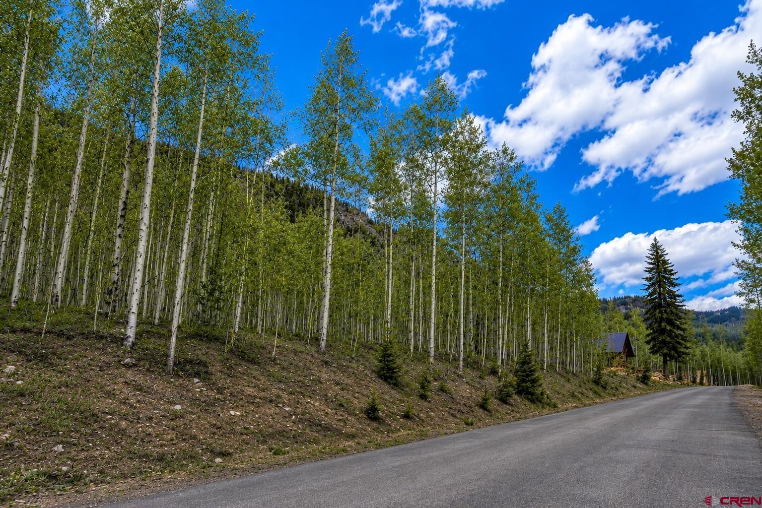 83 Long Story Road Durango, CO 81301 - Photo 2 of 12