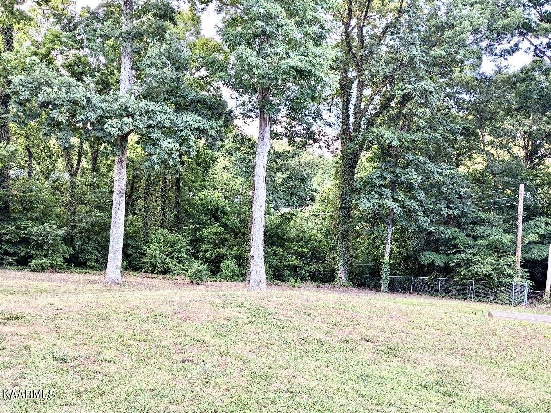 4518 Cloverdale Loop Hixson, TN 37343 - Photo 23 of 24 a view of large yard with large trees