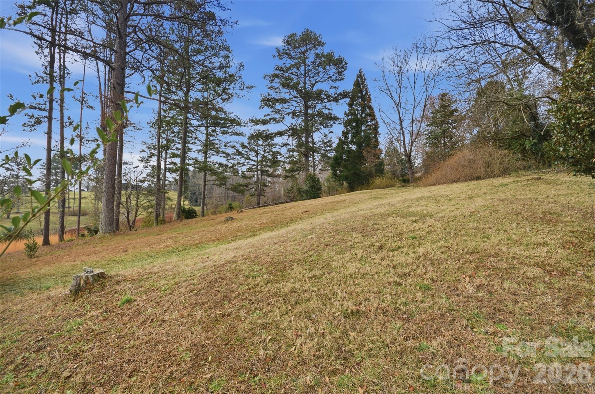 304 Honeysuckle Drive Rutherfordton, NC 28139 - Photo 24 of 29