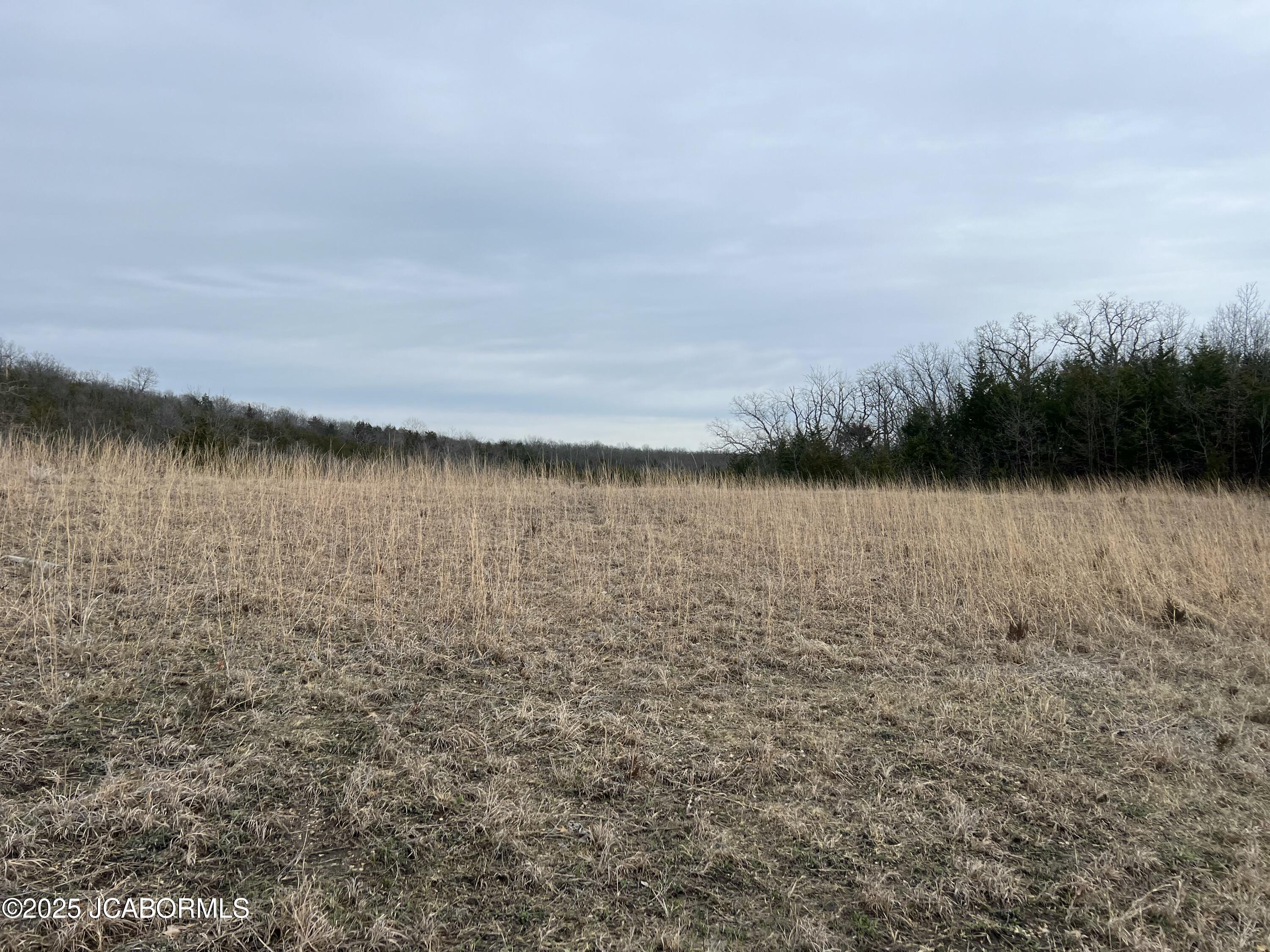 Tbd Swift Road Henley, MO 65040 - Photo 2 of 2