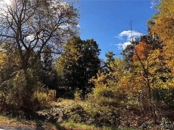 $29,900 | 2295 Gowanda Zoar Road, Collins, NY 14070