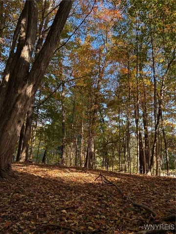 $29,900 | 2295 Gowanda Zoar Road, Collins, NY 14070