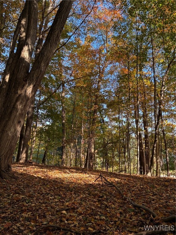 2295 Gowanda Zoar Road Collins, NY 14070 - Photo 4 of 6