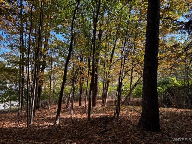 $29,900 | 2295 Gowanda Zoar Road, Collins, NY 14070