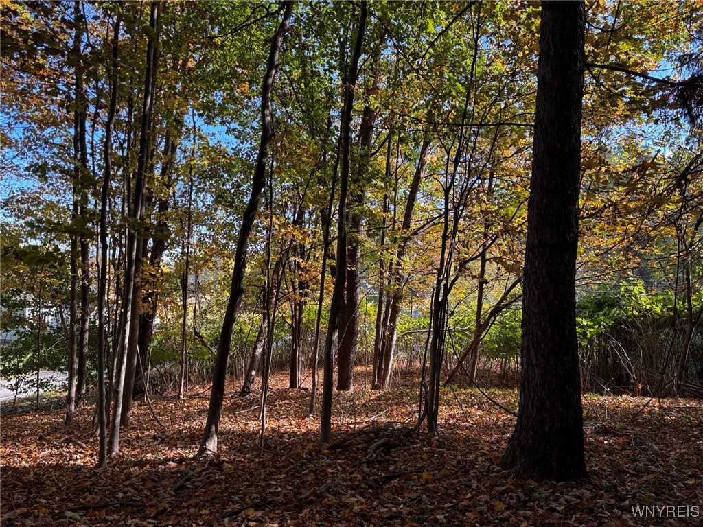 2295 Gowanda Zoar Road Collins, NY 14070 - Photo 5 of 6