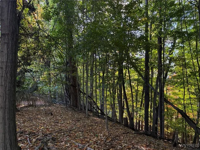 $29,900 | 2295 Gowanda Zoar Road, Collins, NY 14070