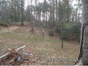 5 Wyoke Road Fletcher, NC 28732 - Photo 18 of 24 Gallery Image 18