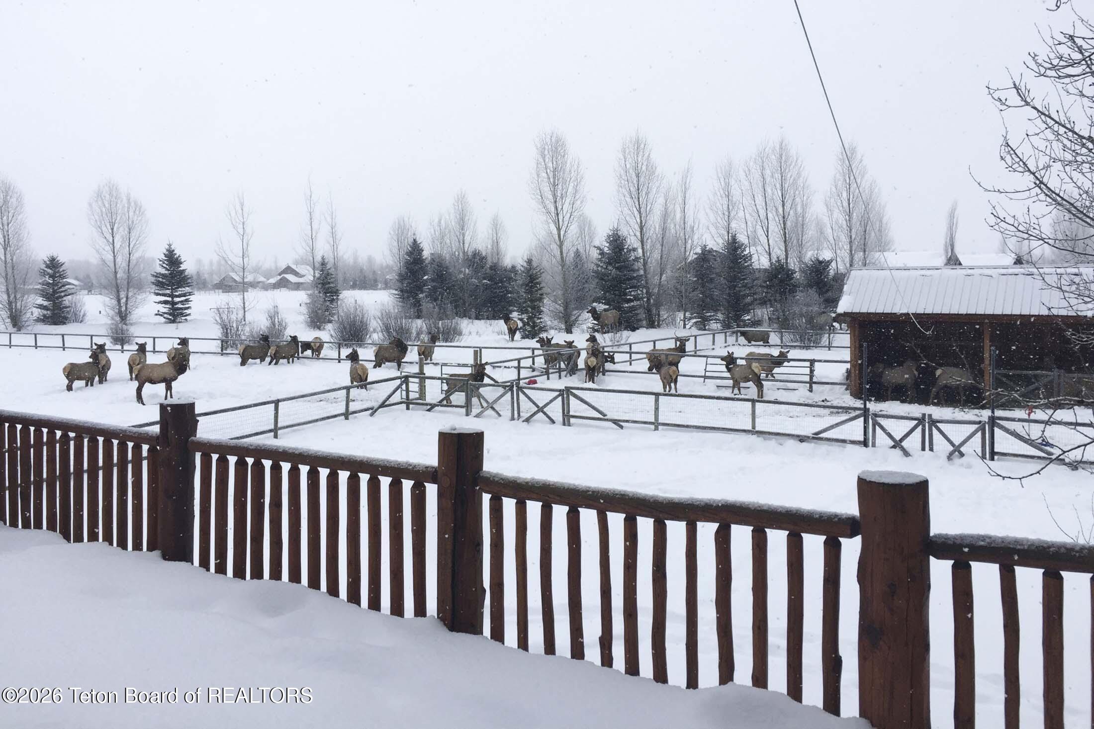 4800 Nethercott Lane Wilson, WY 83014 - Photo 69 of 71 4800-nethercott-wilson-wy-real-estate-65