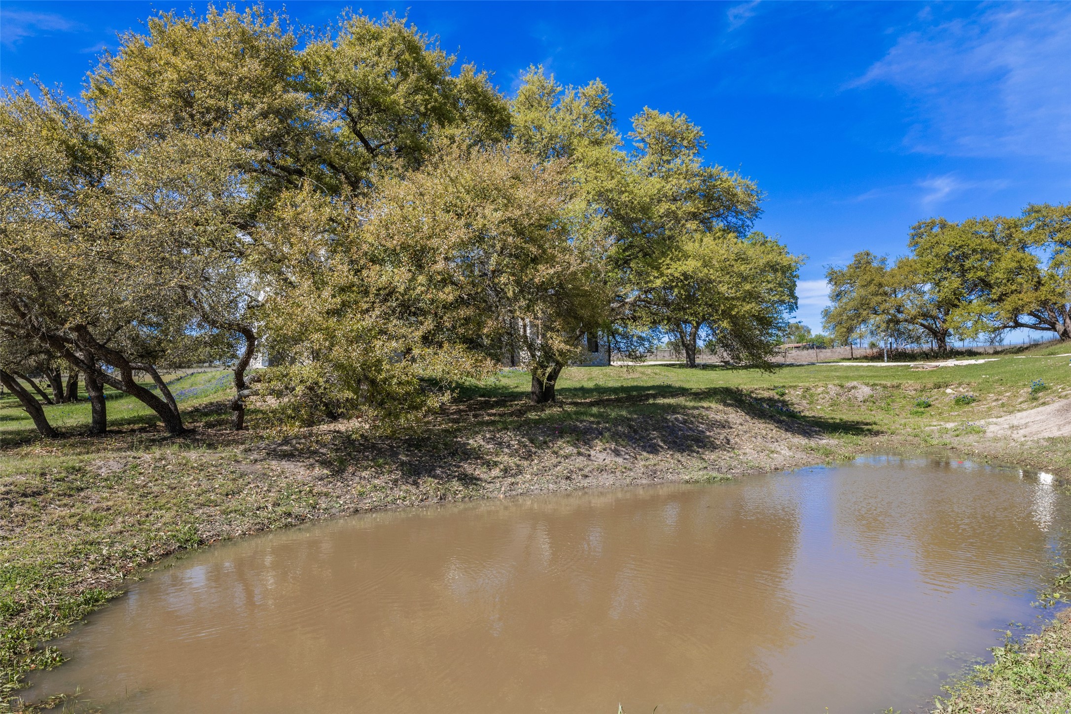 174 Gilmore Road Brenham, TX 77833 - Photo 6 of 50